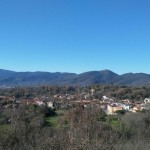 “Comitato Popolare Organizzatore” – “Festa della Vendemmia” Casale di Carinola (CE)